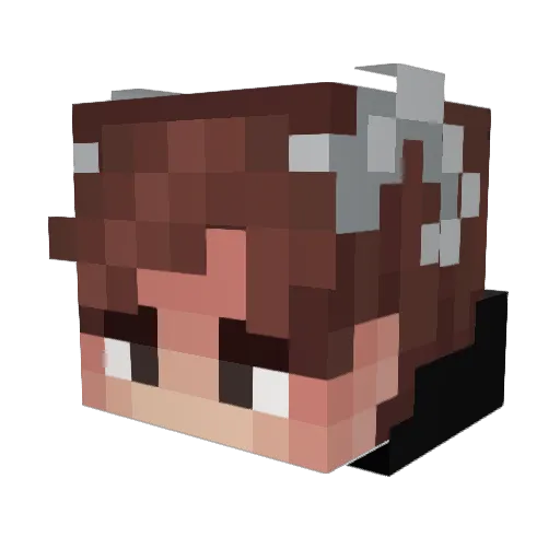 hazudormido Minecraft avatar head, 3D render