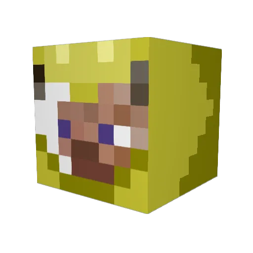 hb02 Minecraft avatar head, 3D render
