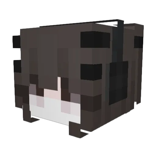 hbnai Minecraft avatar head, 3D render