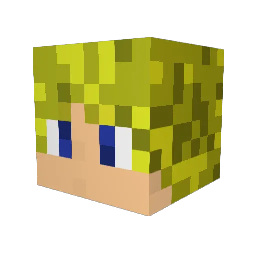 hboy619 Minecraft avatar head, 3D render