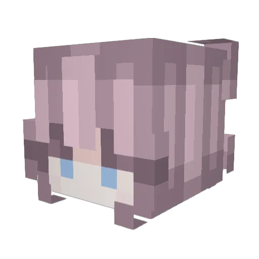 hc0523 Minecraft avatar head, 3D render