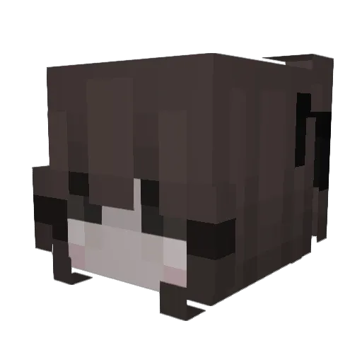 hcley Minecraft avatar head, 3D render
