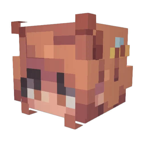 hcneycombs Minecraft avatar head, 3D render