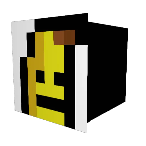 hcsmsqj Minecraft avatar head, 3D render