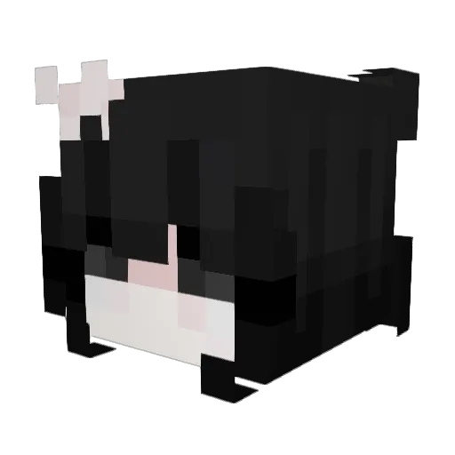 hcssak Minecraft avatar head, 3D render