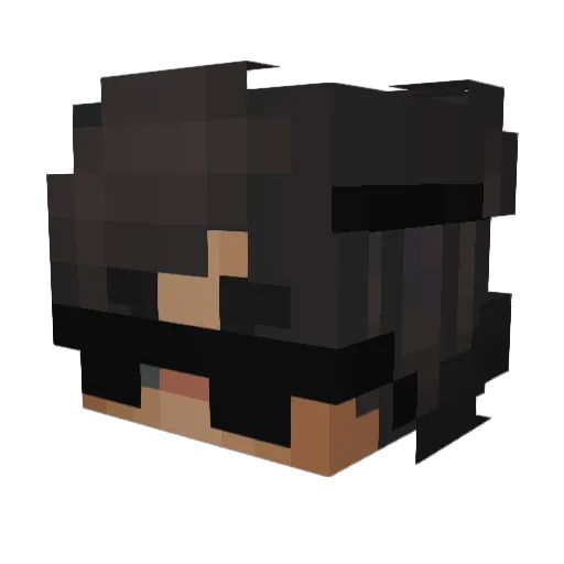 hcvip81 Minecraft avatar head, 3D render