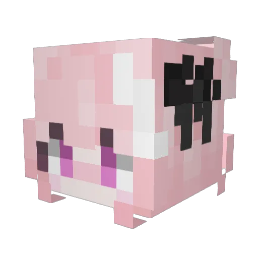 hd8wastaken Minecraft avatar head, 3D render