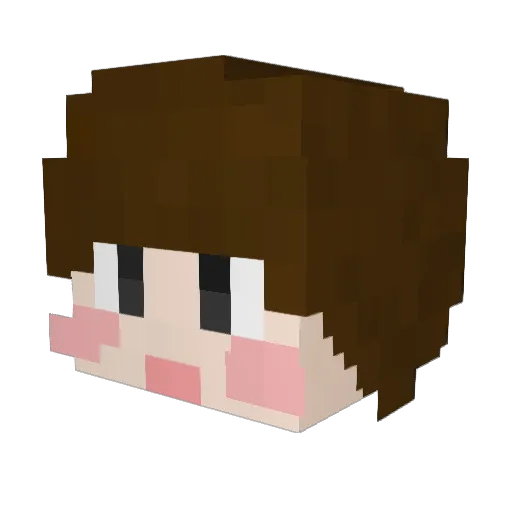 hdfhdf Minecraft avatar head, 3D render