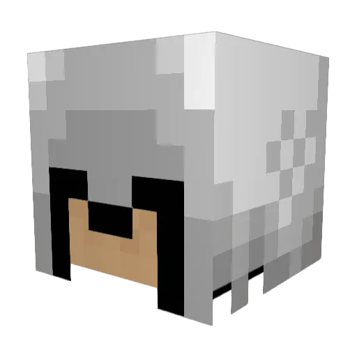 hdj2003 Minecraft avatar head, 3D render