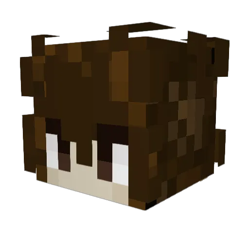 hdpo Minecraft avatar head, 3D render