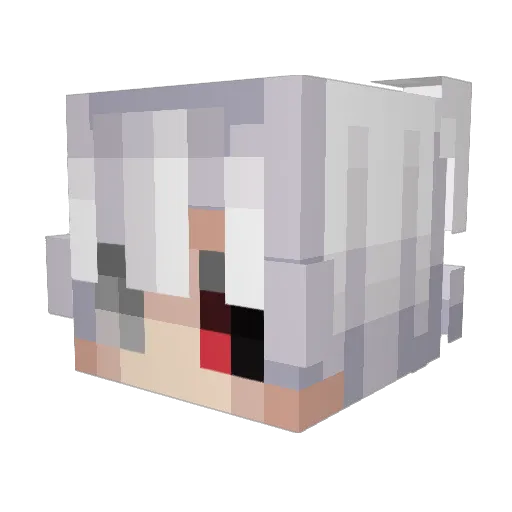 heako23 Minecraft avatar head, 3D render