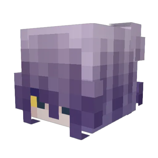 healnoheal Minecraft avatar head, 3D render