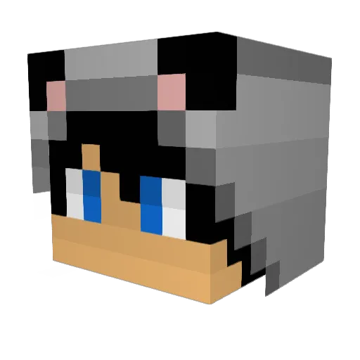 healrazer Minecraft avatar head, 3D render