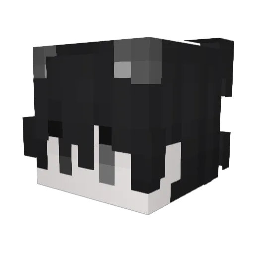 healtes Minecraft avatar head, 3D render