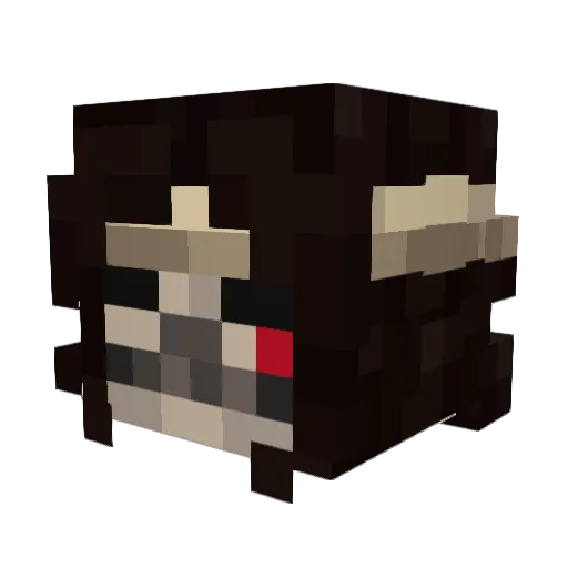 healtingota Minecraft avatar head, 3D render