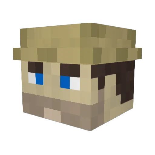 healypa Minecraft avatar head, 3D render