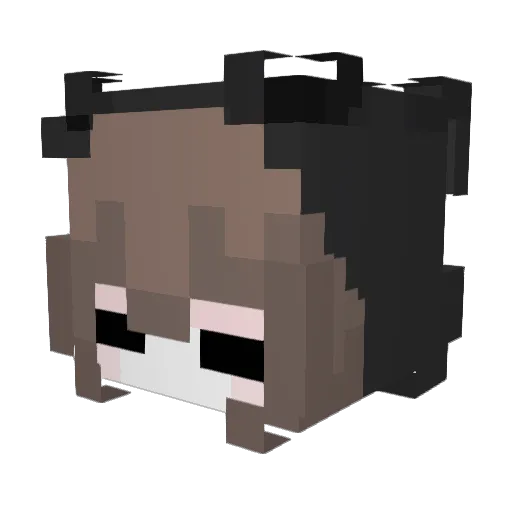 heart4ul Minecraft avatar head, 3D render