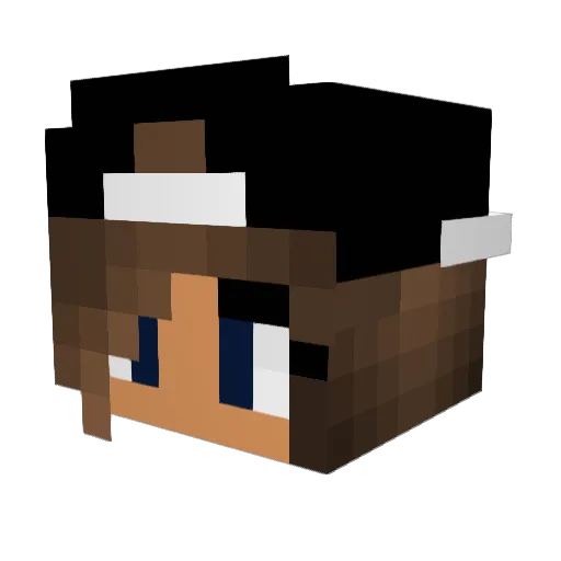 heartMIsoftball Minecraft avatar head, 3D render