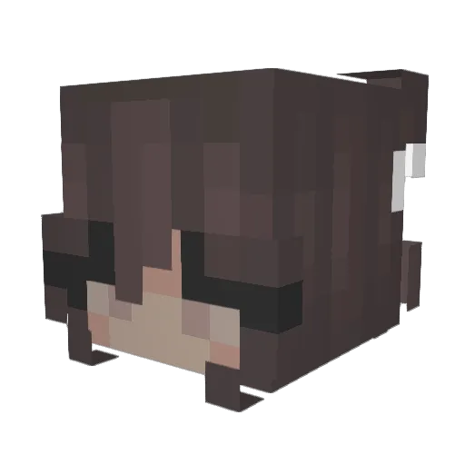 heartburn_ Minecraft avatar head, 3D render