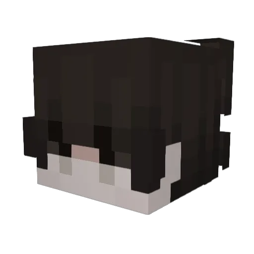 heartpace Minecraft avatar head, 3D render