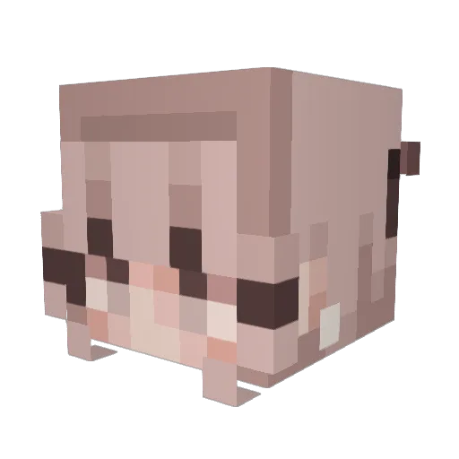hearts4jimbo Minecraft avatar head, 3D render