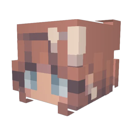 hearts4rings Minecraft avatar head, 3D render