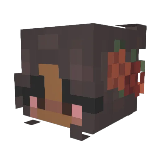 heartzluv Minecraft avatar head, 3D render