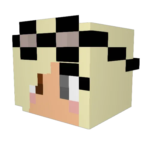heasch Minecraft avatar head, 3D render