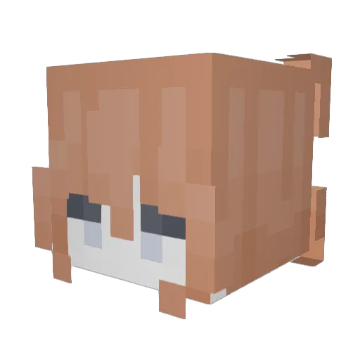 heatabnormals Minecraft avatar head, 3D render