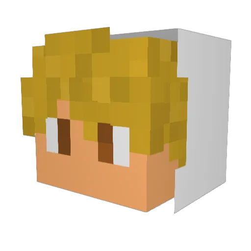 heatcat78 Minecraft avatar head, 3D render
