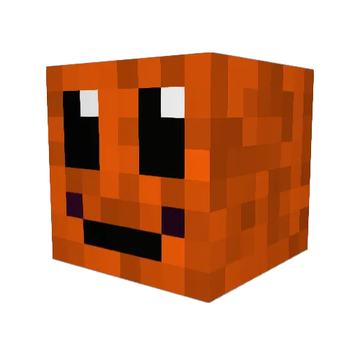 heater09 Minecraft avatar head, 3D render