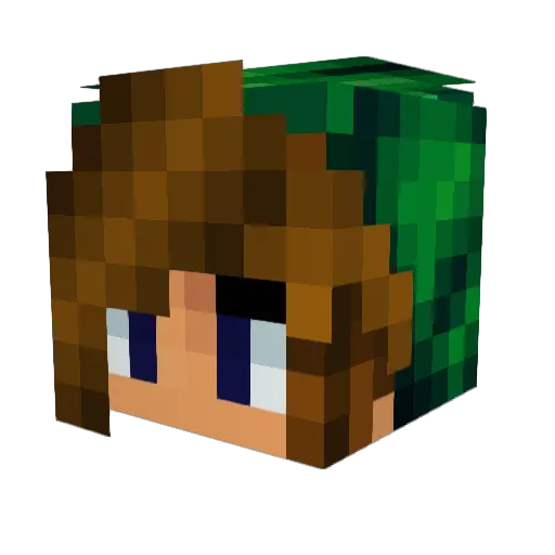 heath5000 Minecraft avatar head, 3D render
