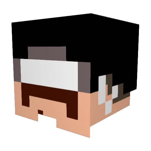 heatherlulz Minecraft avatar head, 3D render