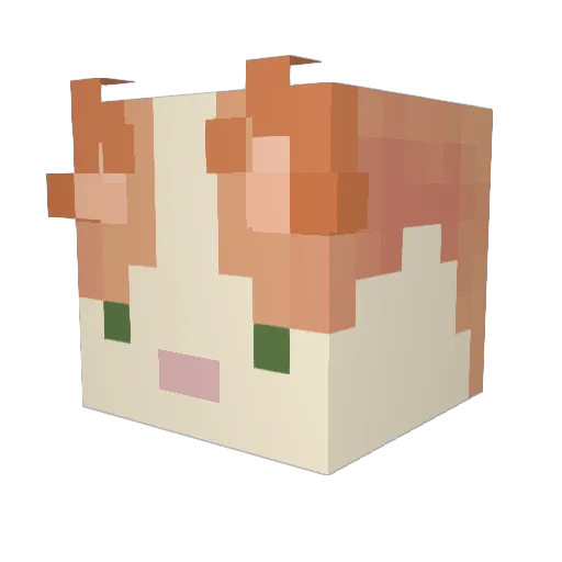 heatherskitten Minecraft avatar head, 3D render