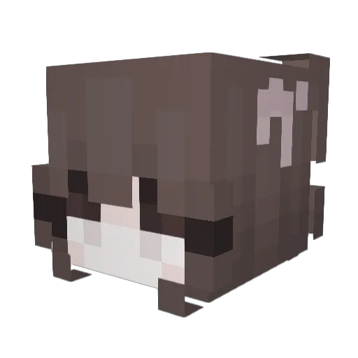 heathher Minecraft avatar head, 3D render
