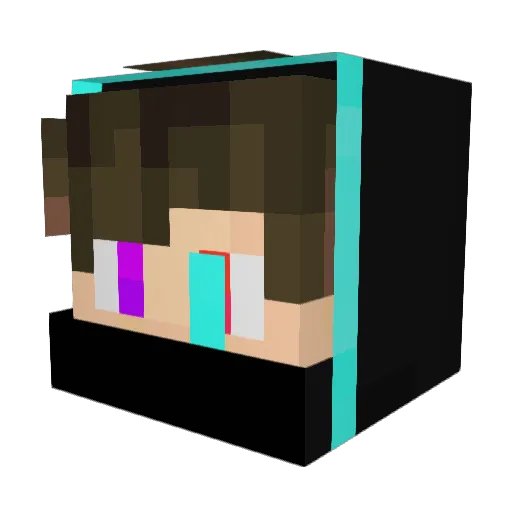 heathycrafter Minecraft avatar head, 3D render
