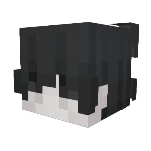 heavenly_ttv Minecraft avatar head, 3D render