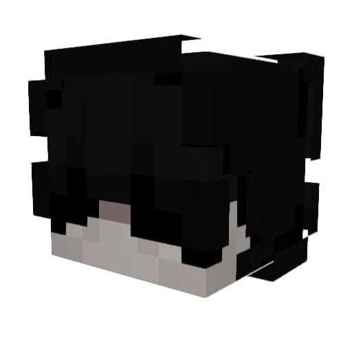 heavenpath Minecraft avatar head, 3D render