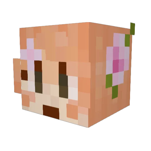 heavenschoir Minecraft avatar head, 3D render