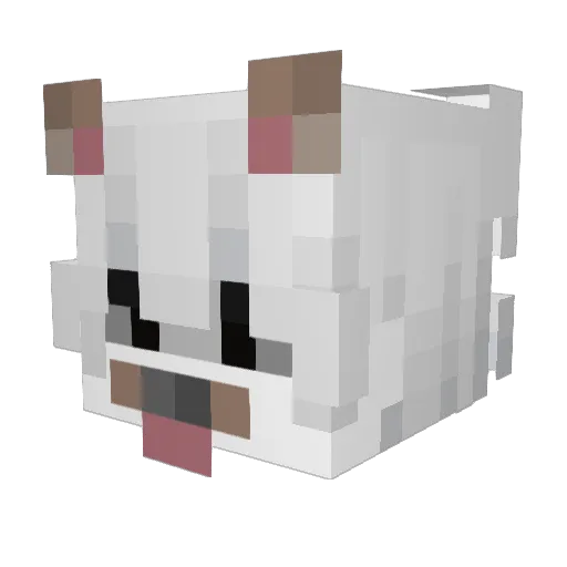 heavensentvry Minecraft avatar head, 3D render