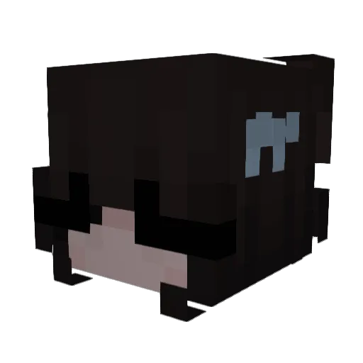heavnxx Minecraft avatar head, 3D render