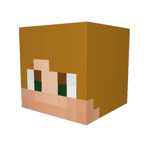 heavygunner55 Minecraft avatar head, 3D render