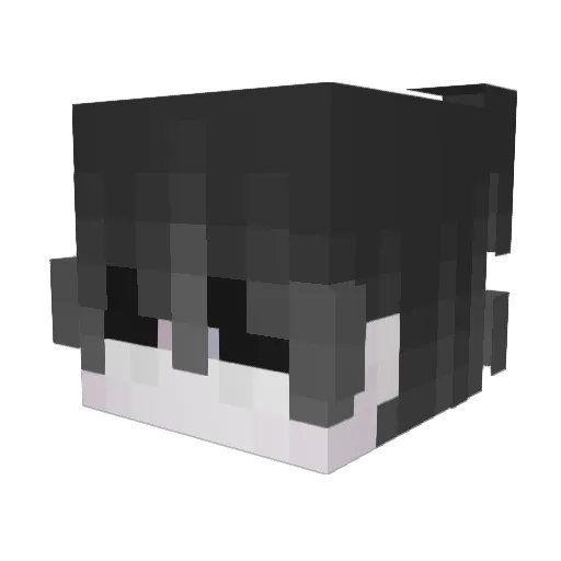 heberrt Minecraft avatar head, 3D render