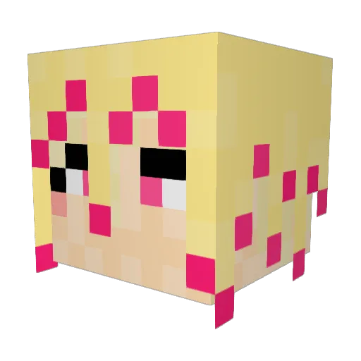 heccer77 Minecraft avatar head, 3D render