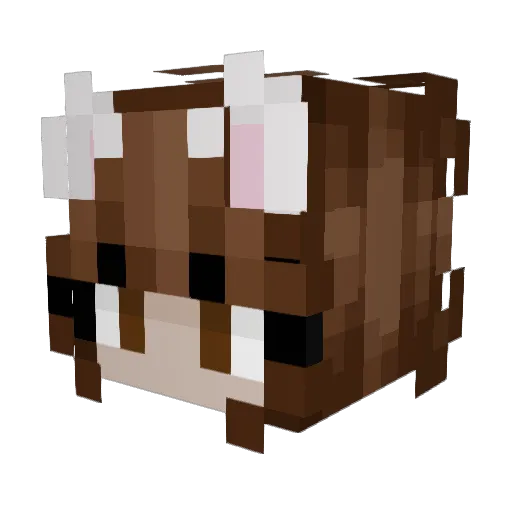 heccer Minecraft avatar head, 3D render