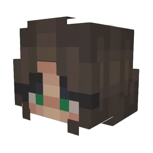 heckmoof Minecraft avatar head, 3D render