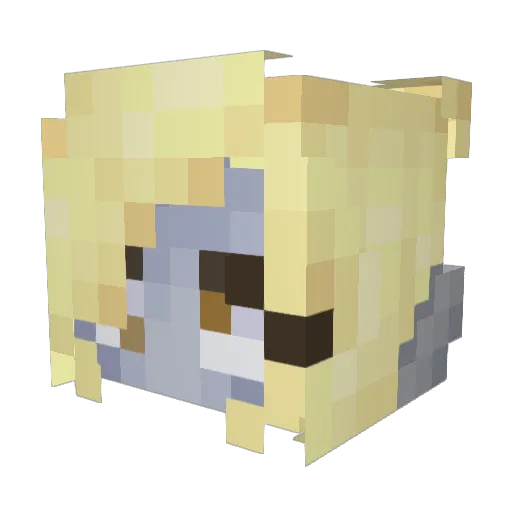 heckyeahmuffins Minecraft avatar head, 3D render