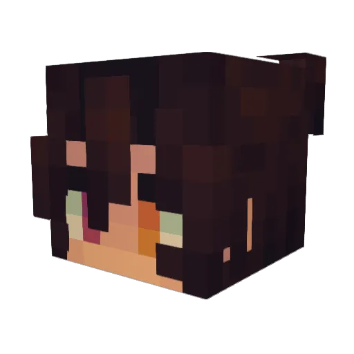 hecrows Minecraft avatar head, 3D render