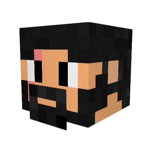 hecticninja Minecraft avatar head, 3D render