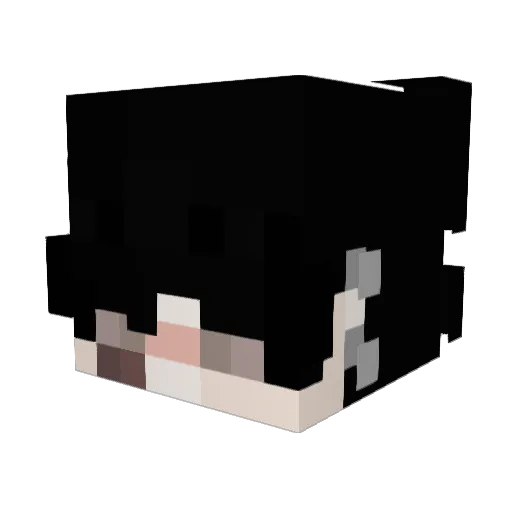 hederahelix00 Minecraft avatar head, 3D render